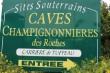2017-caves-bourrc3a90001