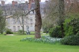Jardins-FONTAINEBLEAU0004