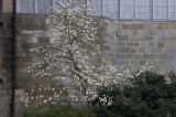 Jardins-FONTAINEBLEAU0009