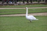 Jardins-FONTAINEBLEAU0036