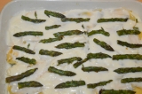 lasagne-asparagi-012